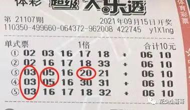2013年双色球第010期开奖结果深度解析与回顾