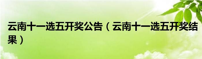山东十一选五，揭秘开奖背后的故事与影响