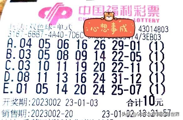 探索中国福利彩票双色球的历史查询之旅