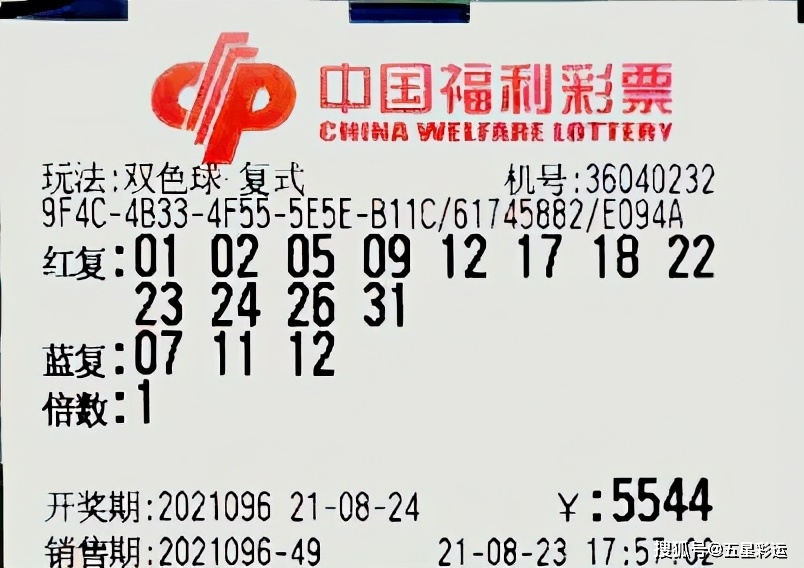 2023澳门正版公开资料，理性看待彩票与娱乐的界限