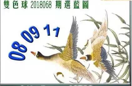 揭秘双色球，字谜总汇与预测艺术
