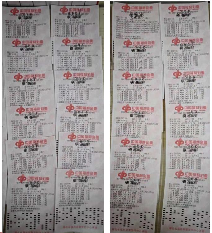 双色球奖金胆拖计算器，解锁彩票购彩新智慧