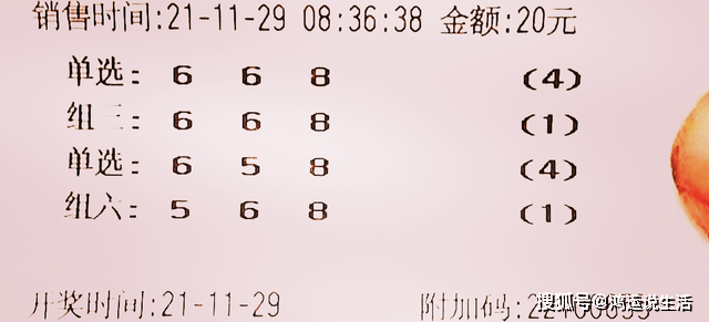 探索小和尚P3，三天计划胆码的奇妙之旅
