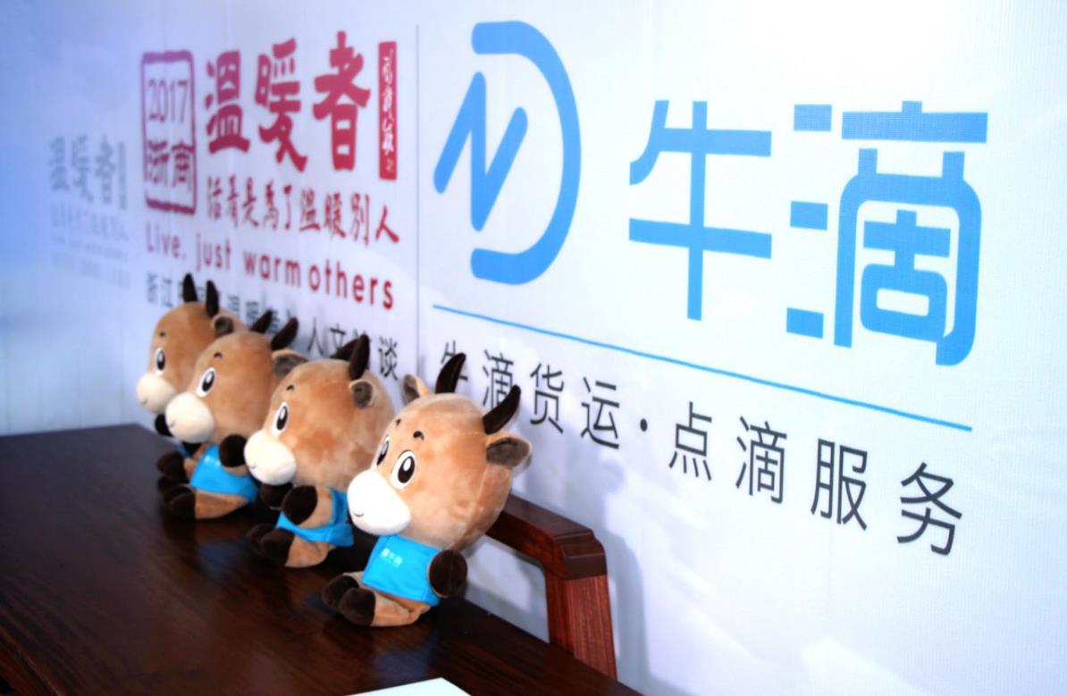 浙江快乐十二，揭秘背后的牛运与智慧