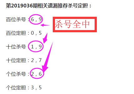 3D杀号，彩宝贝专家的精准策略