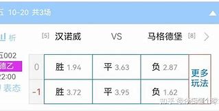 彩客网胜平负旧版，回顾与展望
