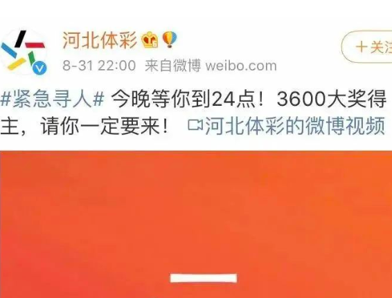 浙江体彩网历史开奖，回顾与展望