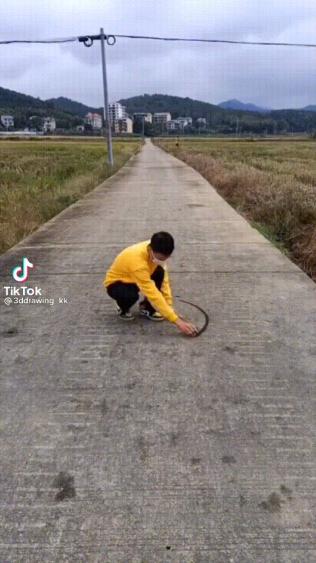 福建三地走势图，透视区域经济发展新动向