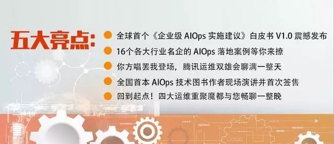 探索白小姐开奖结果号码的奥秘，一场数字与运气的奇妙之旅
