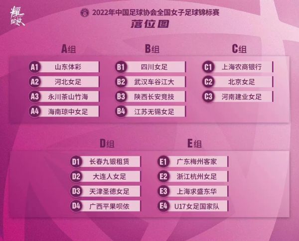 竞彩历史图表，透视体育彩票的过去与未来