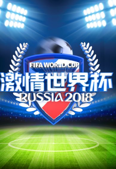 2024世界杯，在线直播的激情与科技盛宴