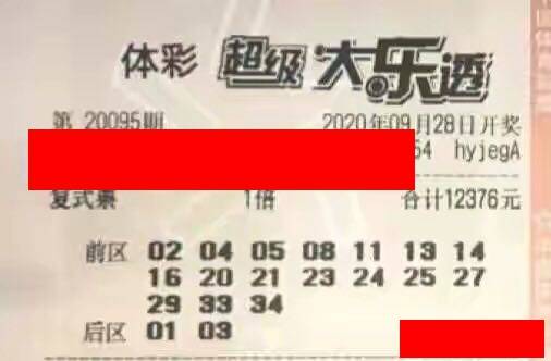 体育彩票大乐透24124期开奖结果揭晓，梦想与现实的碰撞