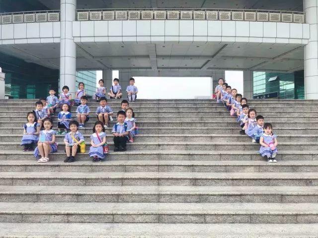 七彩直播最新版，解锁娱乐新体验，畅享高清直播盛宴