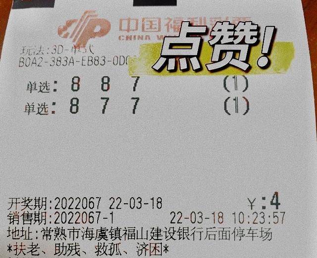 福利彩票3D中奖直播，揭秘背后的故事与影响