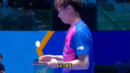 中央体育频道CCTV5，直播在线观看的精彩瞬间