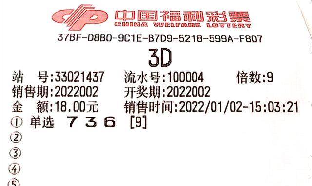 最新3D开奖号码揭秘，揭秘彩票背后的数字魅力