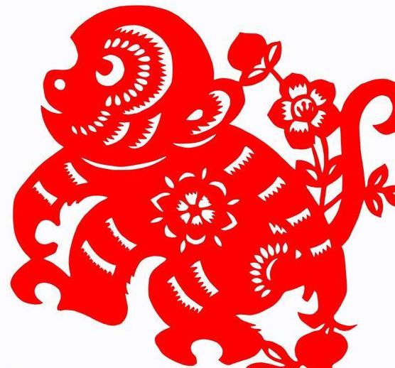 今日生肖码开奖结果查询全攻略，解锁幸运之门
