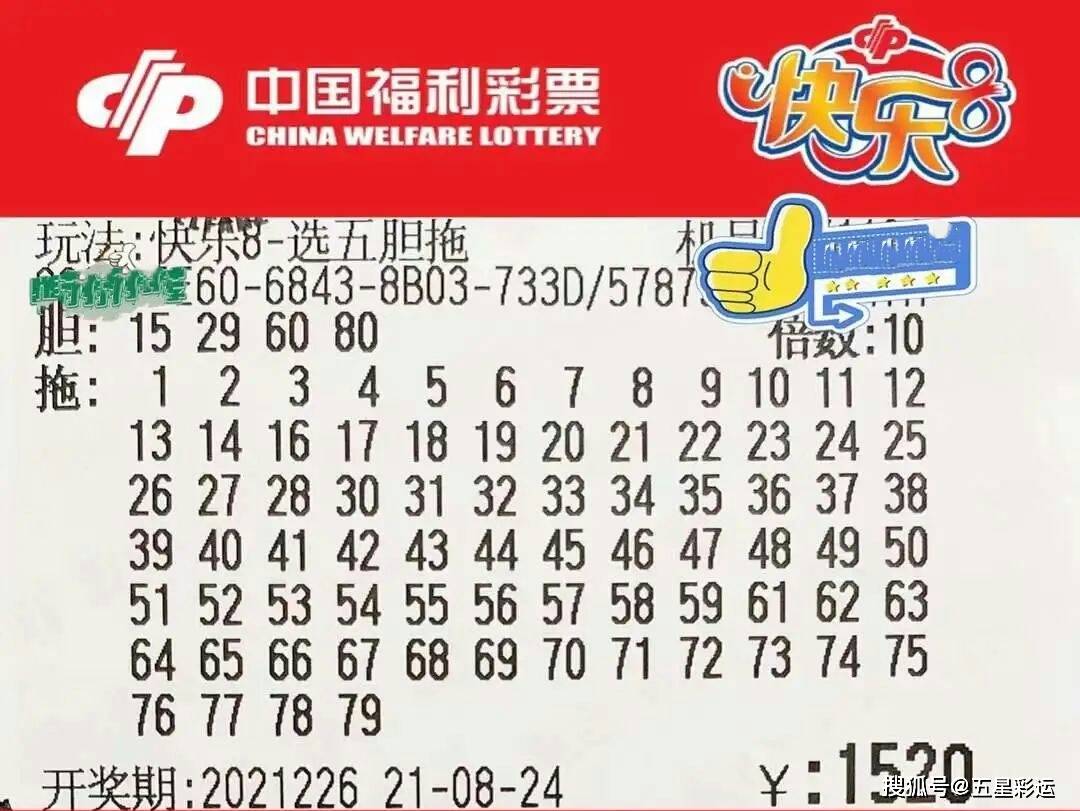 福彩3D字谜总汇，多彩网上的智慧与乐趣