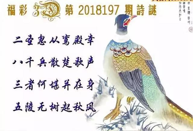 探索金福福图库，3D字谜的奇妙世界