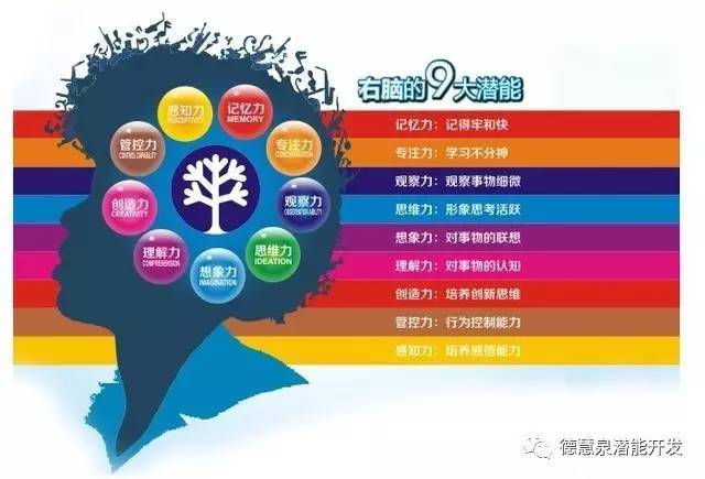 浙江20选5走势图带坐标，数字游戏中的智慧与策略