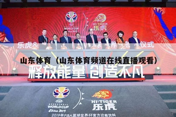 山东体育频道直播，见证激情与荣耀的瞬间