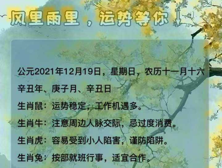 2021年12生肖运势解析完整版，把握机遇，迎接挑战
