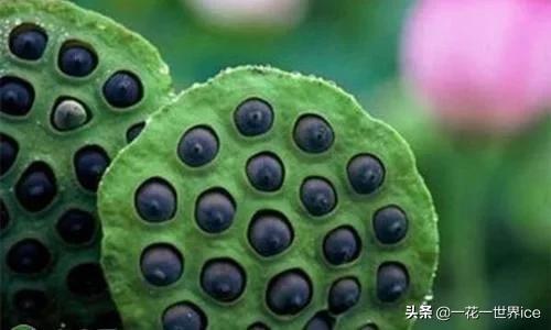江西快3，探寻数字背后的奥秘与走势图解析