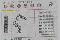 最新彩民乐，阳光探码，揭秘背后的图文奥秘