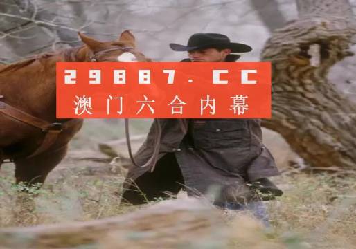 澳门六开彩免费资料48K，揭秘与警示