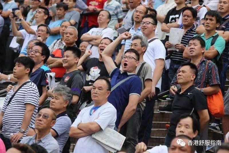 澳门马经论坛六肖18码，揭秘澳门赛马投注的真相与风险