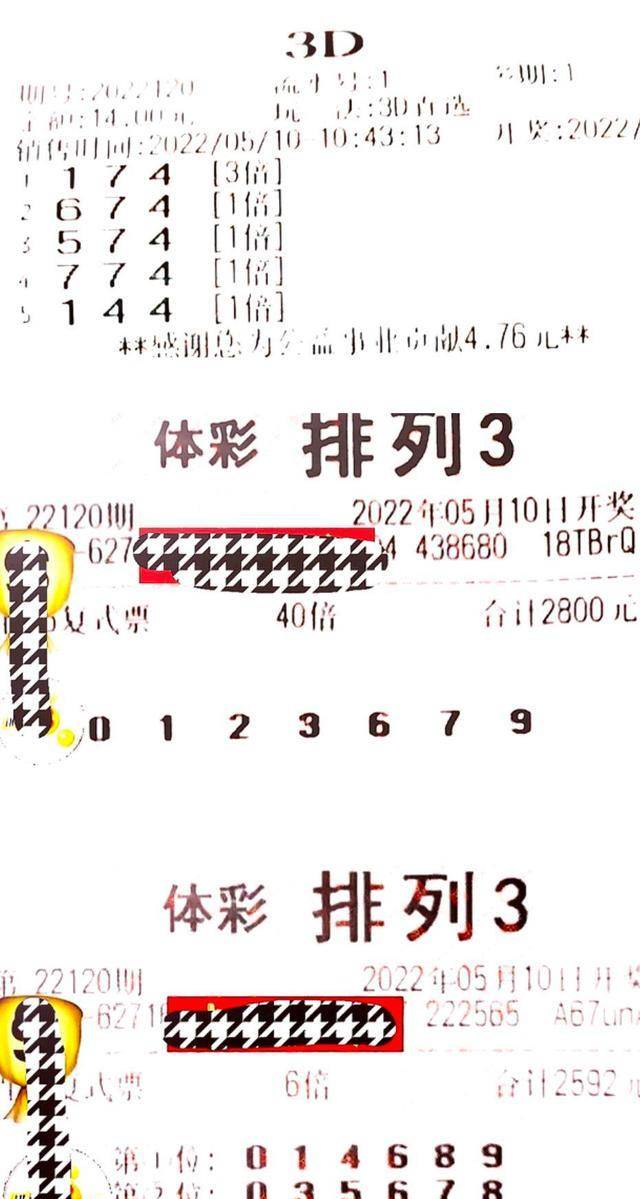 彩界扛霸子3D预测，理性与智慧的结合