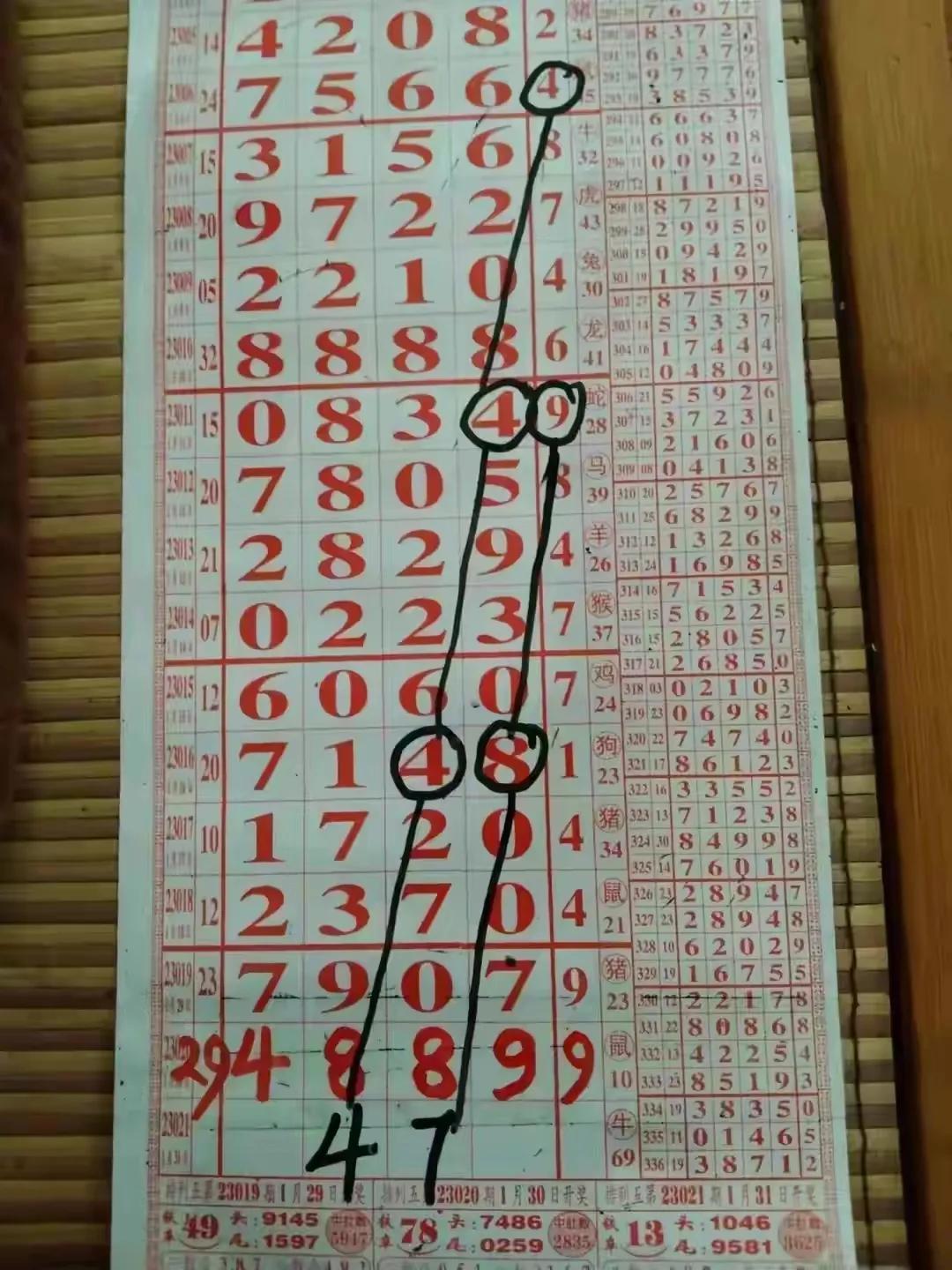 福建体彩31选7，揭秘走势图与七乐彩开奖的奥秘