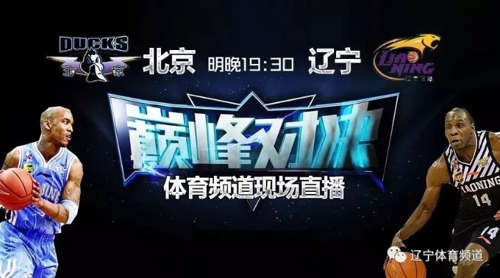 体育频道5现场直播，揭秘CBA的激情与荣耀