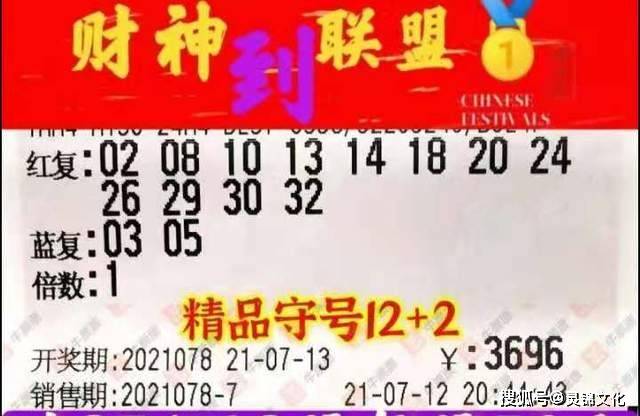 彩票20211369，梦想与现实的交汇点