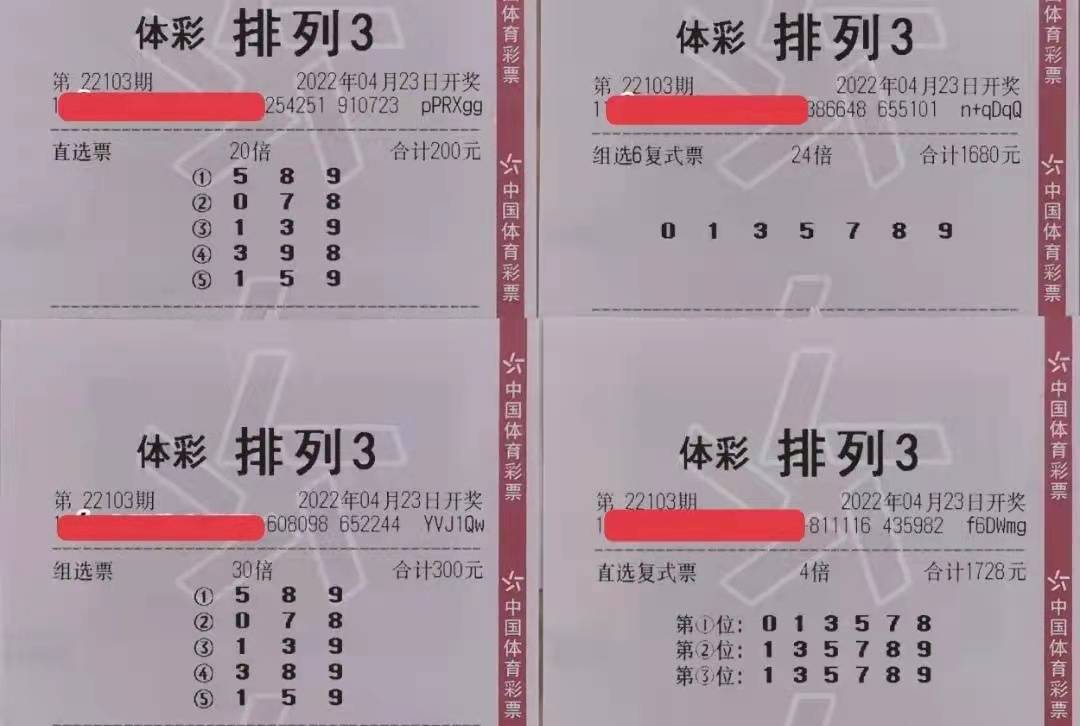 今日排列三双字谜揭秘，数字与智慧的碰撞
