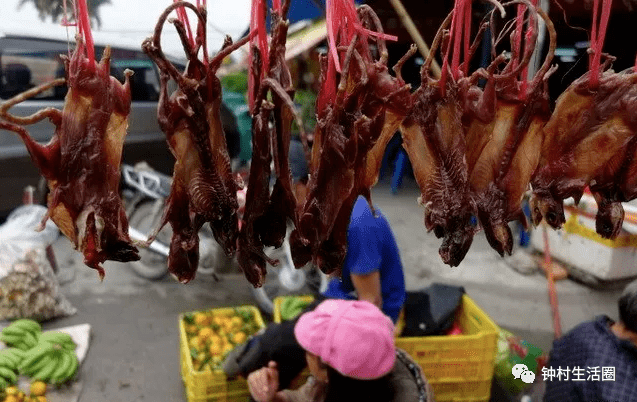 福建特产之谜，探秘老鼠干的独特魅力