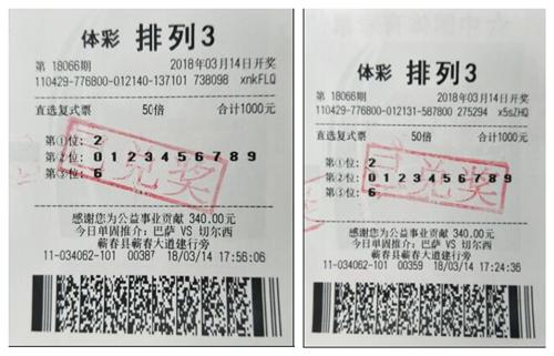 排列三每天开奖号码预测，科学分析与理性投注