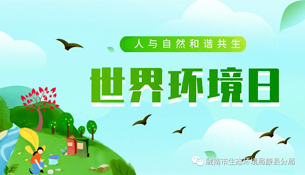 澳门六开资料，最新版全文解析与查询指南