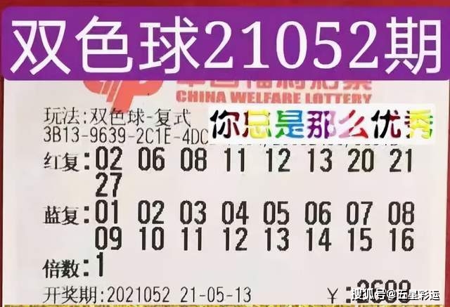 揭秘2024澳门六今晚开奖号码，理性看待彩票与娱乐的界限