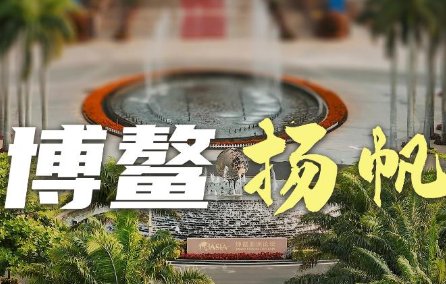 澳门六玄玄网论坛与美人鱼视频，网络迷雾中的真实与幻想