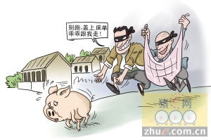 警惕网络陷阱，揭秘澳门六玄武论坛免费资料真相