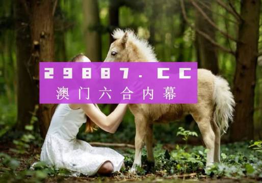 澳门六下彩开奖结果查询，2020年回顾与解析