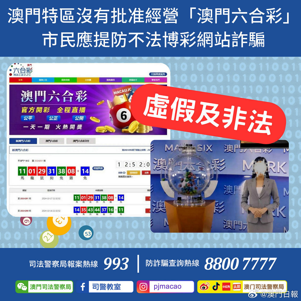 澳门六舍彩网，金牛贩的真相与风险