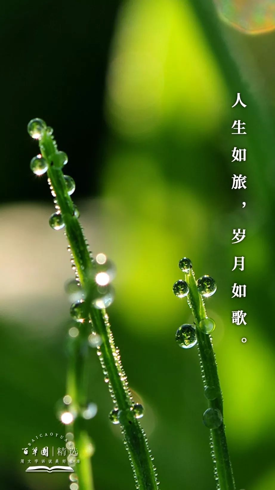 澳门六宝合典大全，高清图片免费下载的探索之旅