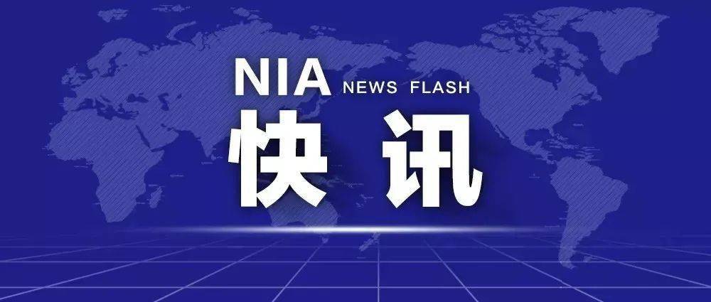 澳门六宝合典平特一肖视频，免费观看的灰色地带与法律风险