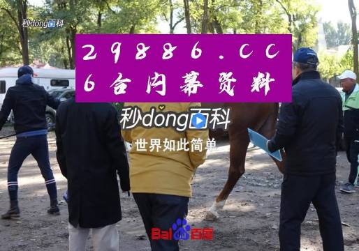 澳门六叔公精准资料，免费查询澳门官方网页的真相与误区