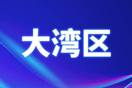 澳门六叔公高手论谈，深度解析与免费资源分享