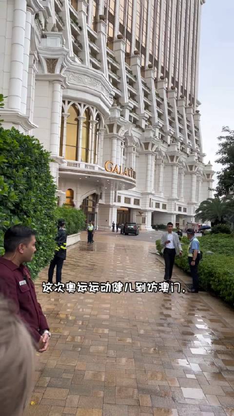 澳门六叔公高手论谈，深度解析与视频资源指南