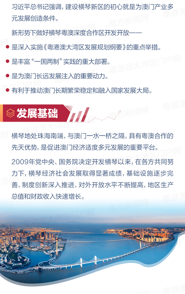 澳门六叔公高手论谈，深度解析与免费资源获取的探讨