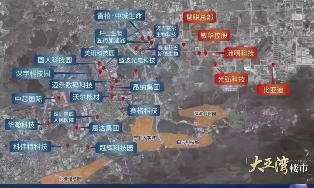 澳门六肖王彩开奖结果查询，最新消息与理性看待